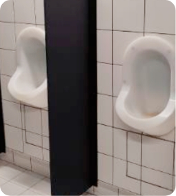Toilettes sans eau Biloba lab